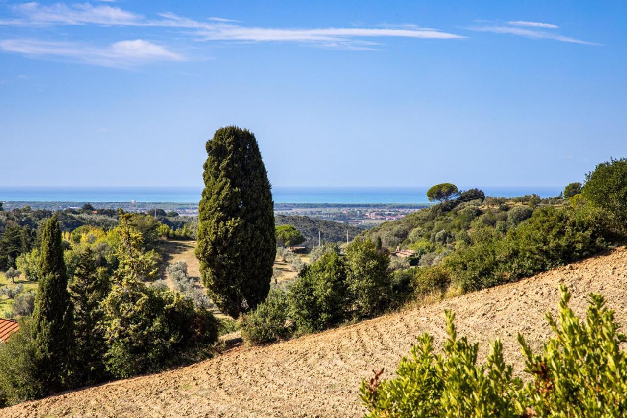 Villa Cesarina Amazing Villa With Private Pool In The Tuscan Hills Casale Marittimo Bagian luar foto